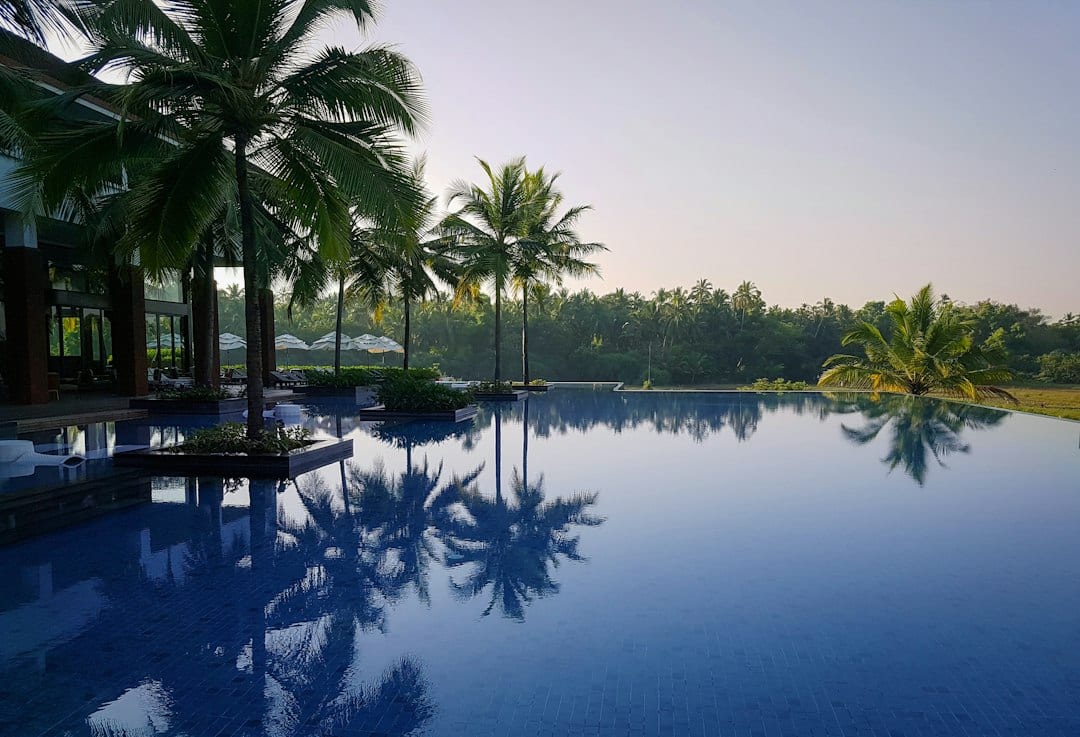 Private infinity pool surrounded by tropical greenery