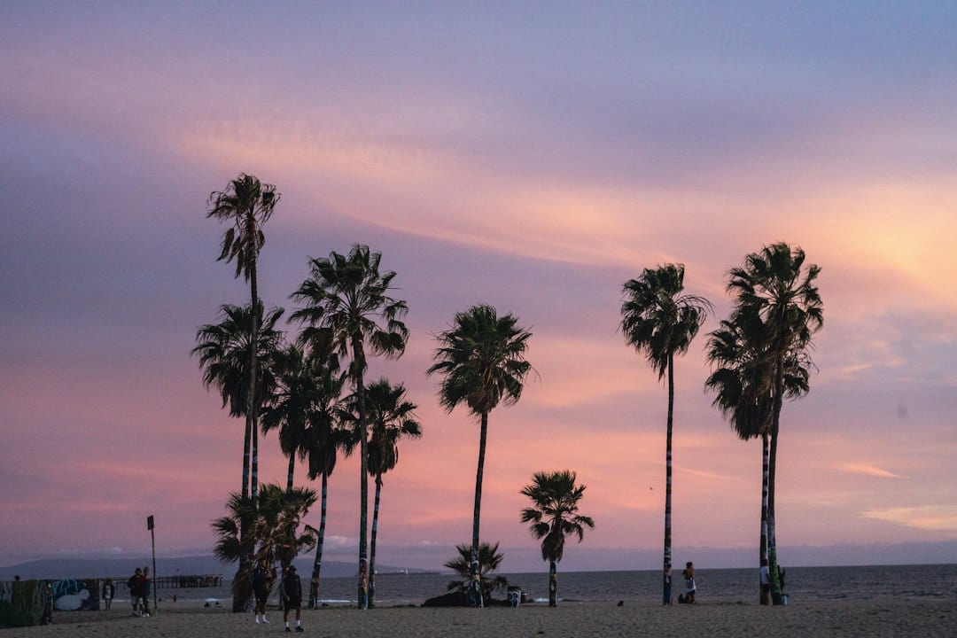 Tropical beach sunset with palm trees and golden sky
