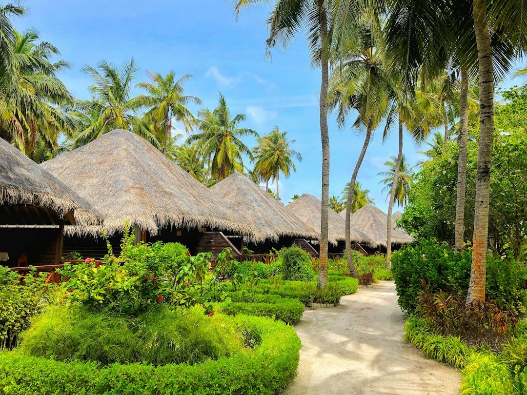 Lush tropical garden pathway leading to villa entrance