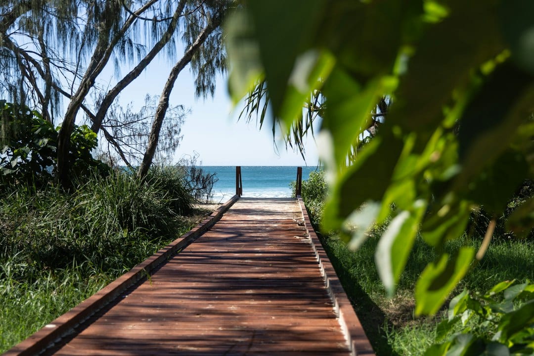 Wooden walkway leading over dunes to tropical beach